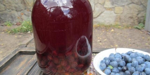 Kompot od trna za zimu: kako kuhati, koliko šećera, koristi i štete, kontraindikacije